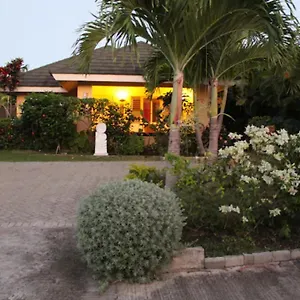 The Artist Place At Estates St Ann Richmond